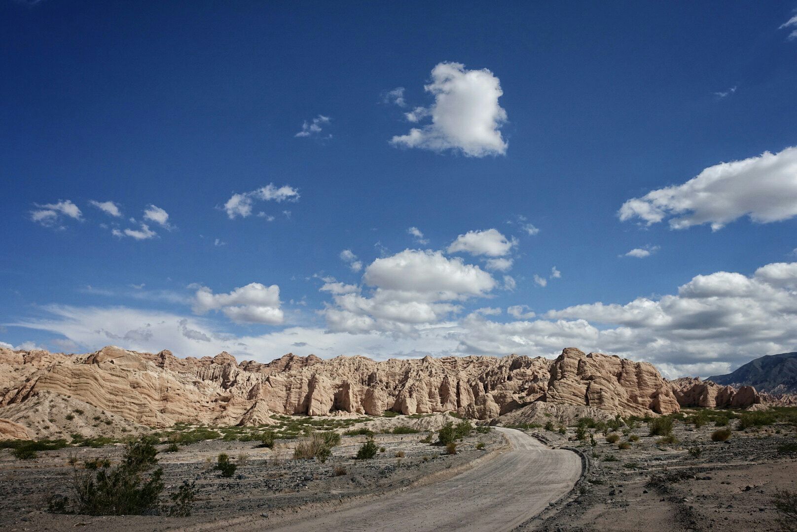 ¡Cuatros chicos en el norte de Argentina!