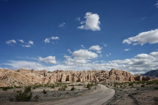 ¡Cuatros chicos en el norte de Argentina!