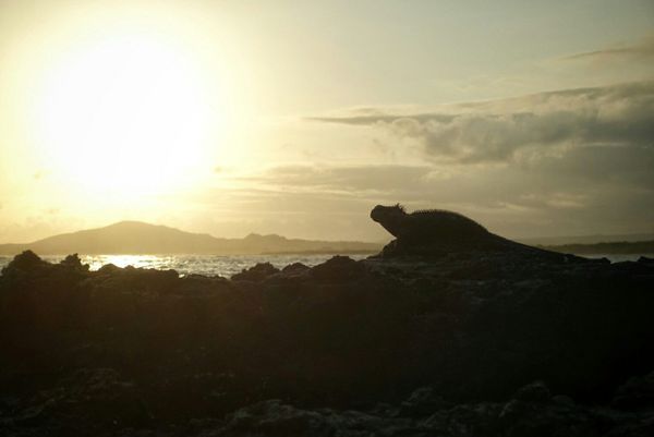Islas Galapagos